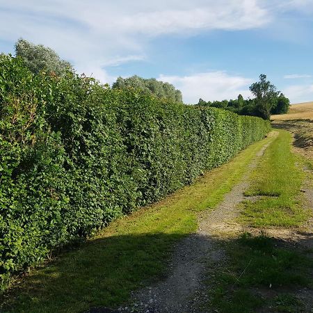 Maison Moderne A La Campagne Bezinghem Zewnętrze zdjęcie